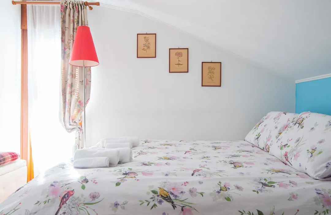 La mansarda delle meraviglie B&B Superior-1